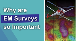 EM Survey Thumbnail
