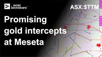 Promising gold intercepts at Meseta