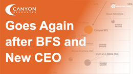 CAY Goes Again after BFS, New CEO and a Surging Bauxite Price